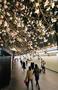 東京駅でサクラが満開