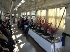 しがらき盆梅列車の写真