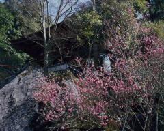 写真提供：石山寺
