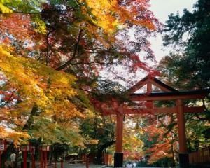 紅葉の日吉大社